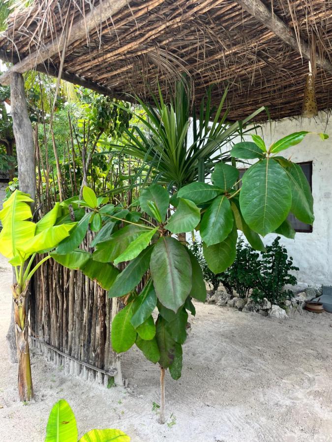 Karanga Bungalows Michamvi Rom bilde